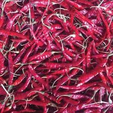 334 Red Chilli