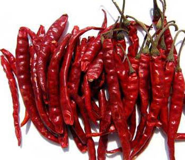 341 Red Chilli
