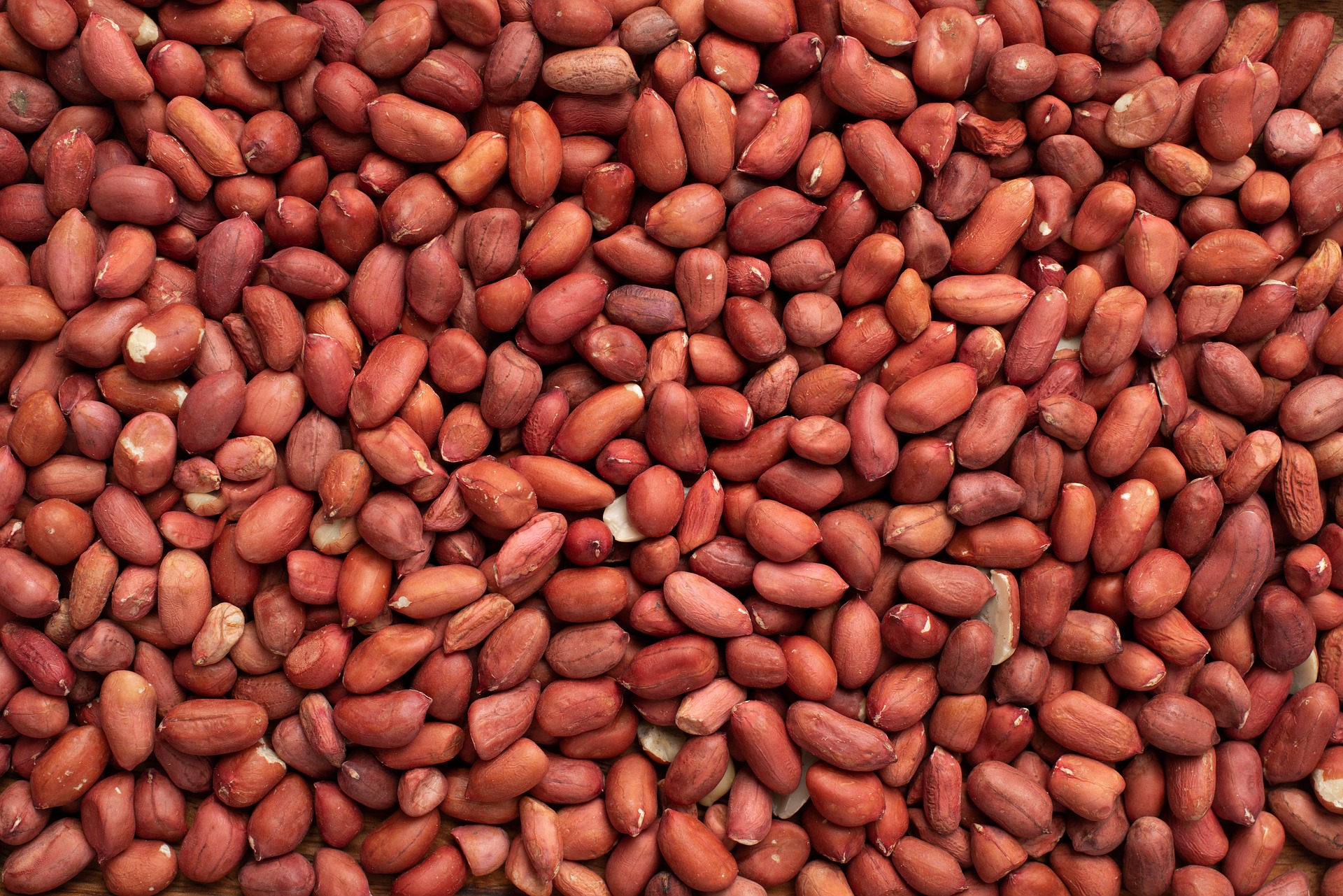 Bold Peanut