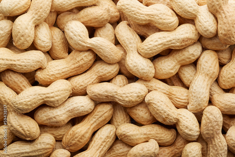 Inshell Peanut