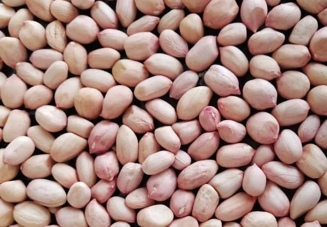 Java Peanut