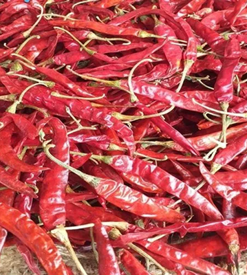 S10 Red Chilli