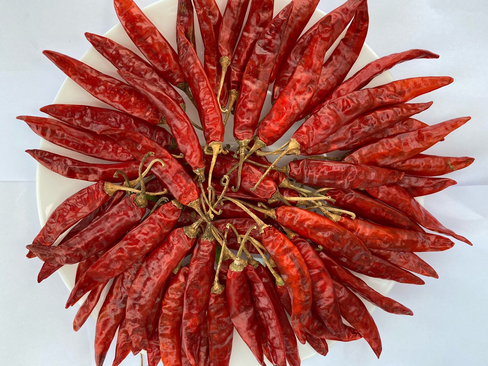 Sannam Red Chilli