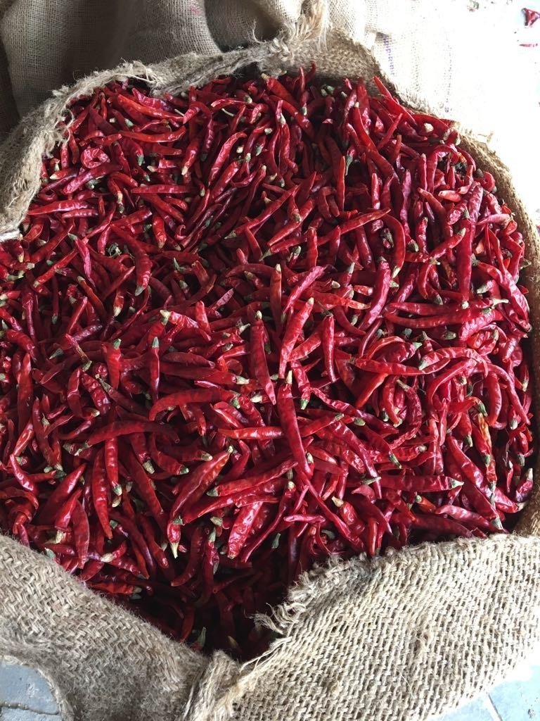 Teja Red Chilli